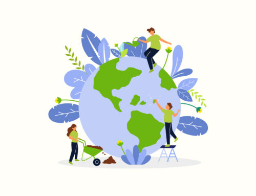 Desafio Agroflorestal: aceleração de negócios de impacto como estratégia de sustentabilidade