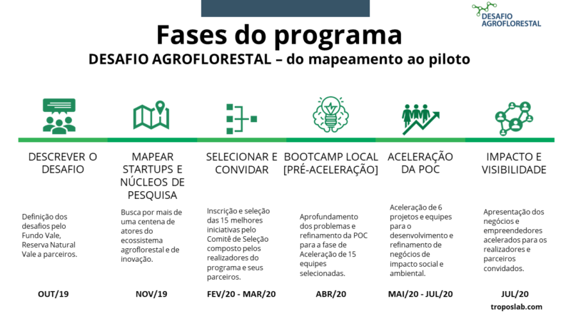 Figura 1. Fases do programa Desafio Agrofloretal.